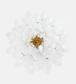 Lunara White Glass Chandelier