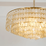 Teardrops Shell Chandelier