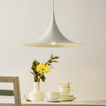 Semi Swag Pendant Light