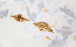 Leaf Twisted Sculptural Customize Chandelier