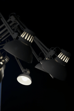 Dear Ingo Chandelier