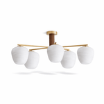 Auren Branch Ceiling Light