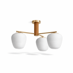 Auren Branch Ceiling Light