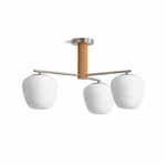 Auren Branch Ceiling Light