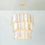 Cascara Shell Chandelier