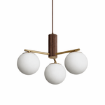 Solvyn Globe Chandelier