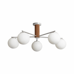 Solvyn Globe Chandelier