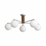 Solvyn Globe Chandelier