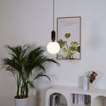 Capsule Globe Pendant Light
