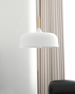 Acorn Pendant Light