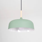 Acorn Pendant Light