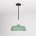Acorn Pendant Light