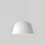 Ambit Pendant Light
