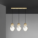 Double Disk Pendant Lamp