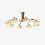 Elliptical Persimmon Chandelier