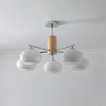 Elliptical Persimmon Chandelier