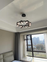 Foliole Chandelier