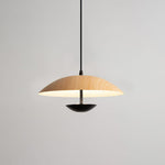Frisbee Pendant Lamp