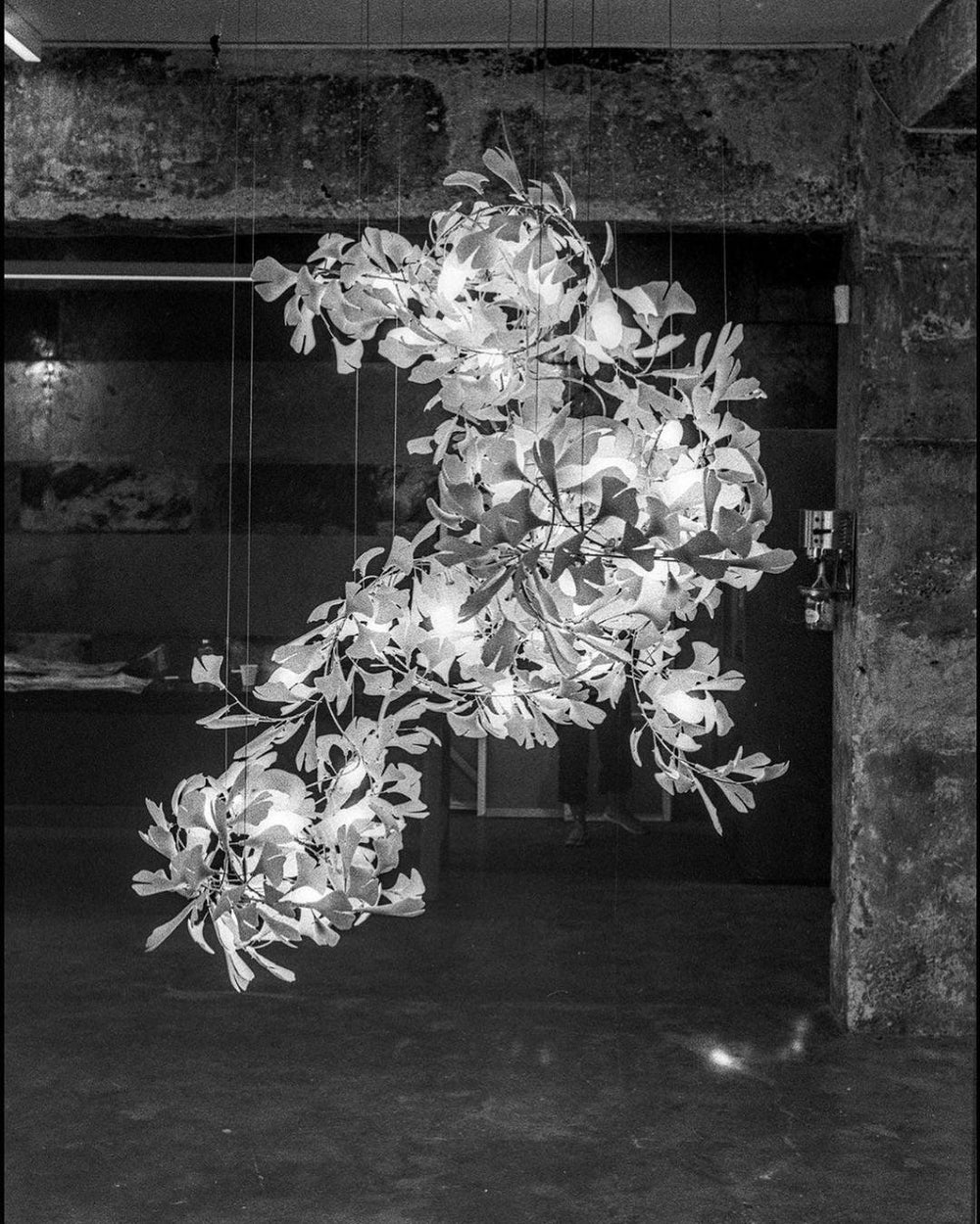 Gingko Vortex Chandelier