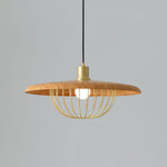 Kasa Pendant Lamp