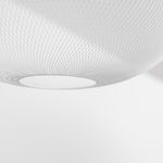 Metallic Meshwork Pendant Lamp
