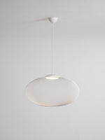 Metallic Meshwork Pendant Lamp