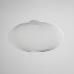 Metallic Meshwork Pendant Lamp
