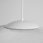 Metallic Meshwork Pendant Lamp