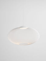 Metallic Meshwork Pendant Lamp