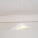 Moby Dick Pendant Light