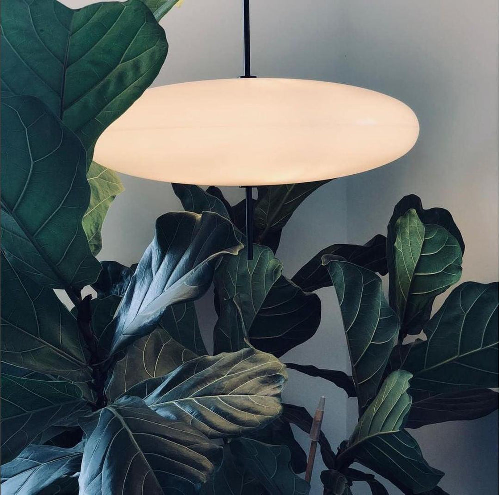 Opal Disc Suspension Lamp