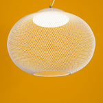 Metallic Meshwork Pendant Lamp