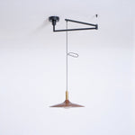 Crane Swing Arm Pendant Lamp