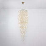 Nerida Shell Chandelier