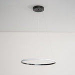 Orrery Rings Chandelier