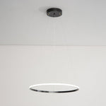 Orrery Rings Chandelier
