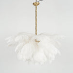 Ostrich Feather Chandelier