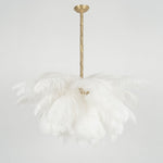 Ostrich Feather Chandelier