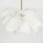 Ostrich Feather Chandelier