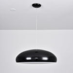 Pangen Pendant Lamp