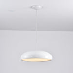 Pangen Pendant Lamp