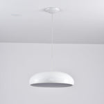 Pangen Pendant Lamp