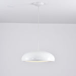Pangen Pendant Lamp