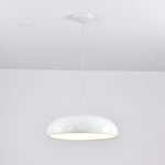 Pangen Pendant Lamp