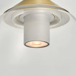 Petra Pendant Light
