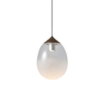 Petra Pendant Light
