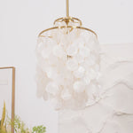 Round Shell Chandelier