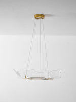 Sea Chandelier