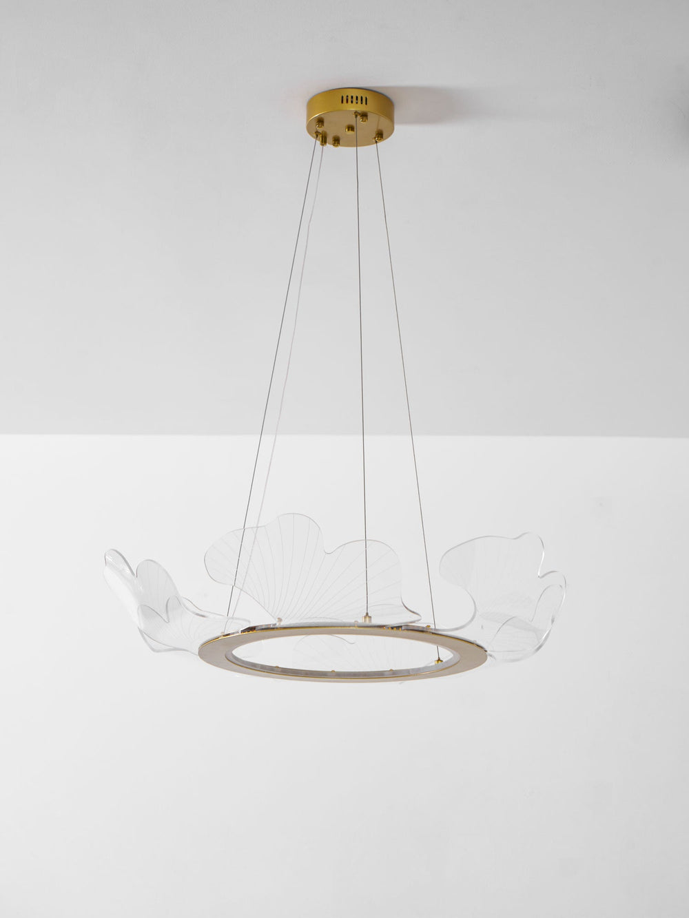 Sea Chandelier