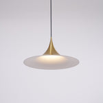 Semi Swag Pendant Light